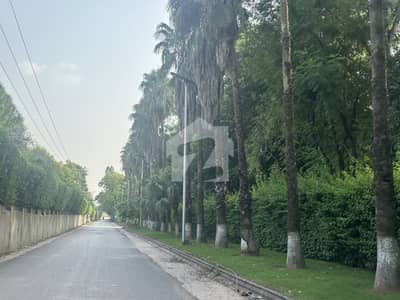 26-KANAL FARM HOUSE FOR SALE TARLAI KALAN, ISLAMABAD