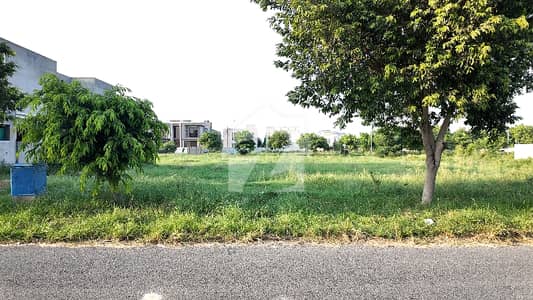 4 Kanal Plot With 1 Kanal Grey Structure 7000 Sqft Park Lane Side