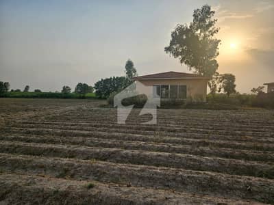 بیدیاں روڈ لاہور میں 1 کنال زرعی زمین 35.0 لاکھ میں برائے فروخت۔