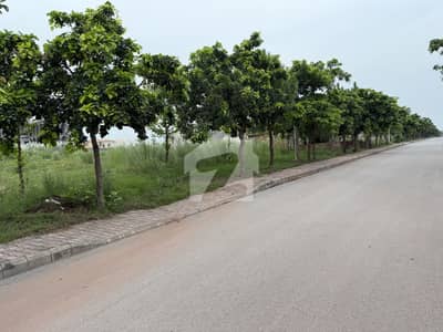 Gulberg Green Block A 390series Plot 5kanal Developed Possession Solid Land Plot Available For Sale