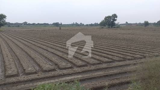 BEDIAN ROAD 6 ACER FARM HOUSE /AGRICULTURAL PLOT FOR SALE