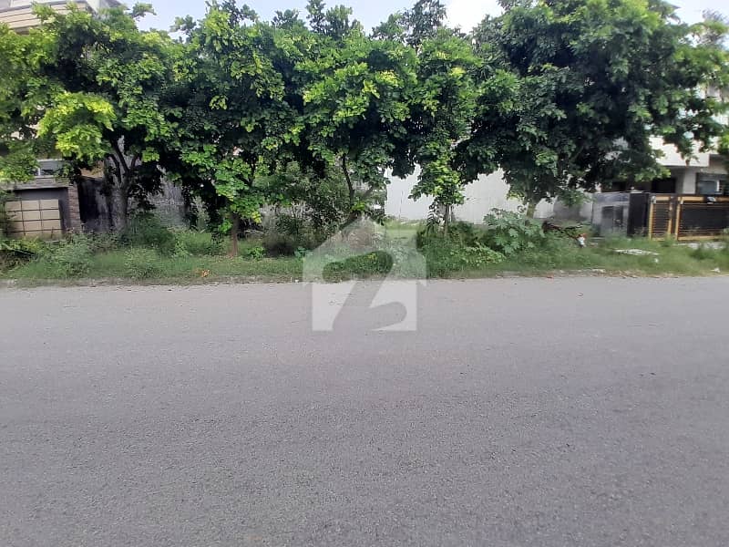 Non Lop Level Plot For Sale On Prime Location Non Lop Level Plot For Sale On Prime Location