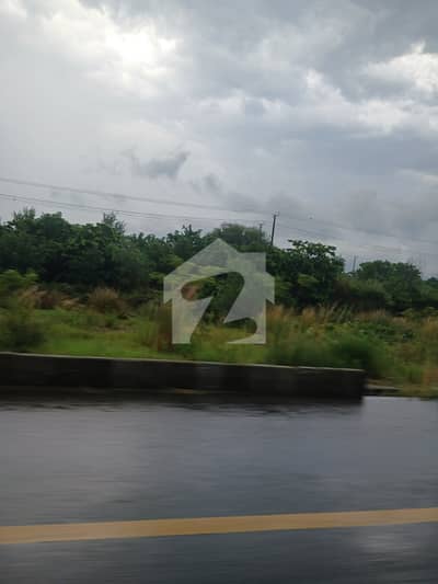 D-12/3 size 40/80 plot for sale