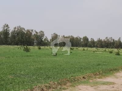 جوہر آباد روڈ خوشاب میں 176 کنال زرعی زمین 4.5 کروڑ میں برائے فروخت۔