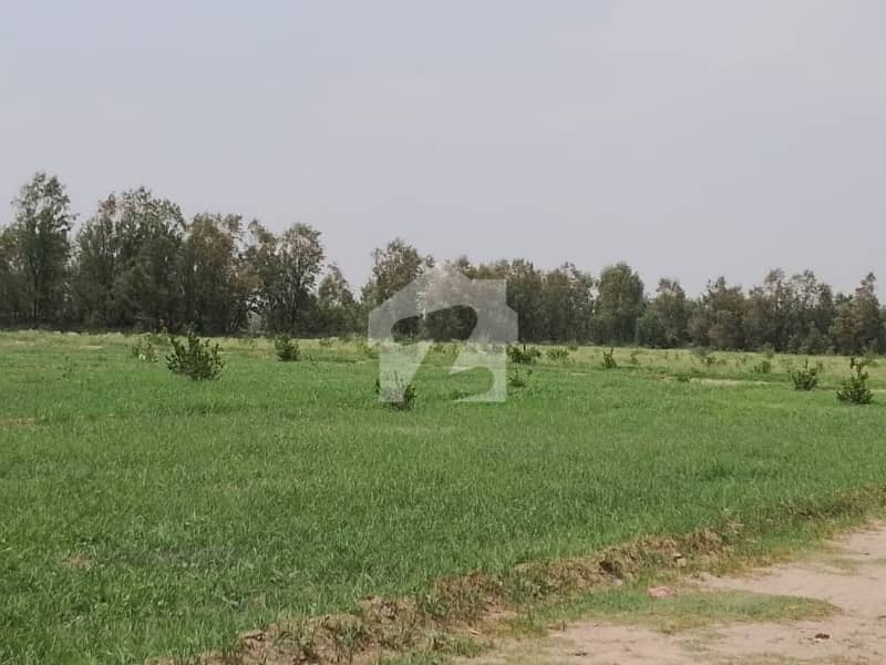 جوہر آباد روڈ خوشاب میں 176 کنال زرعی زمین 4.5 کروڑ میں برائے فروخت۔ جوہر آباد روڈ خوشاب میں 176 کنال زرعی زمین 4.5 کروڑ میں برائے فروخت۔