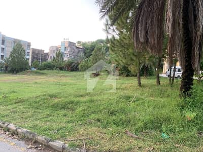 Petrol Pump Plot For Sale In Linear Commercial