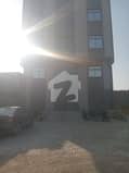 24 