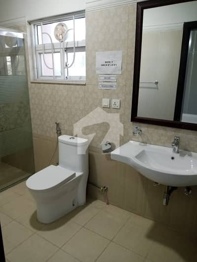 brend new flat dround floor for rent