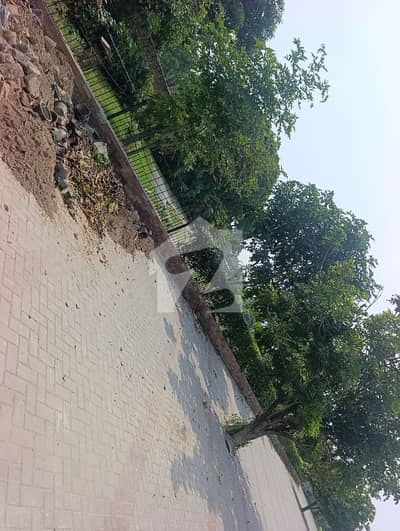 ڈی ایچ اے فیز 8 ڈی ایچ اے ڈیفینس,لاہور میں 1 کنال رہائشی پلاٹ 6.5 کروڑ میں برائے فروخت۔