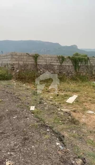 شاہ اللہ دتہ اسلام آباد میں 1 کنال رہائشی پلاٹ 2.5 کروڑ میں برائے فروخت۔