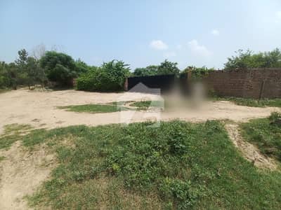 BEST OPERTUINTY RUNING DAIRY FARM FACING CANAL REAL PICTURE MORE DETAILS CONTACT ME