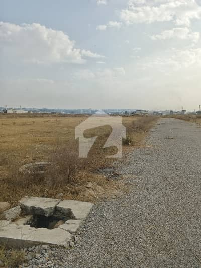 G 14/2 Size 30x60 7 Marla Plot For Sale Beautiful Location