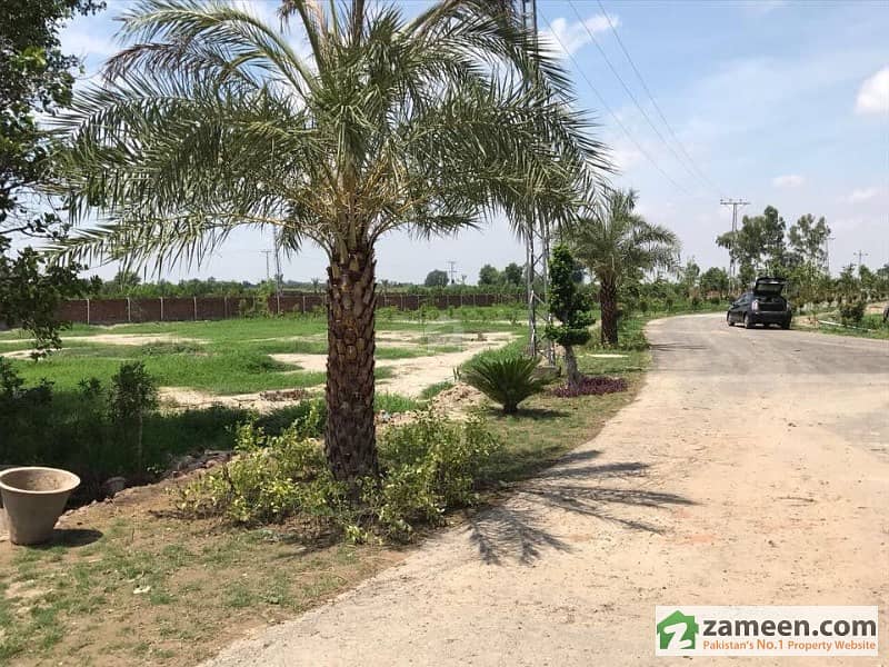 Barki Farm House Plot For Sale Barki Road, Cantt, Lahore ID11760878