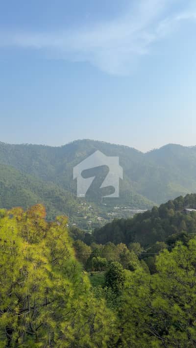 DHA Phase 5 Sector C 45 Marla Top-Highted Plot | Back View | Exceptional Location DHA Phase 5 Sector C 45 Marla Top-Highted Plot | Back View | Exceptional Location