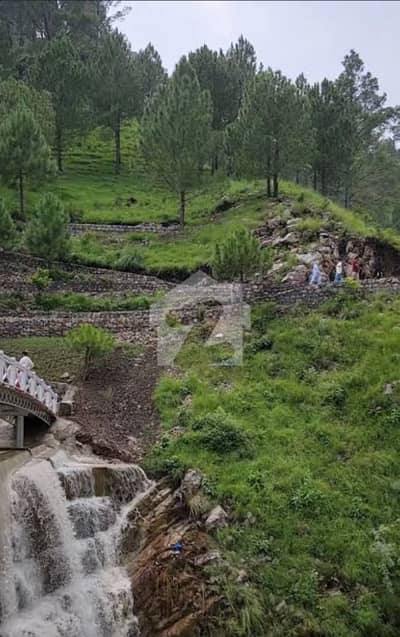 پائن سٹی ہاؤسنگ سوسائٹی پیر سوہاوا روڈ,پیر سوہاوا,اسلام آباد میں 4 کنال رہائشی پلاٹ 3.2 کروڑ میں برائے فروخت۔ پائن سٹی ہاؤسنگ سوسائٹی پیر سوہاوا روڈ,پیر سوہاوا,اسلام آباد میں 4 کنال رہائشی پلاٹ 3.2 کروڑ میں برائے فروخت۔
