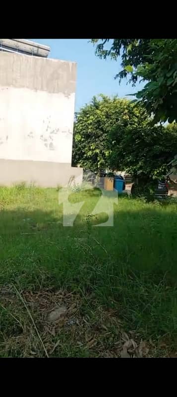 5 Marla Plot Available For Sale And Beautiful Location