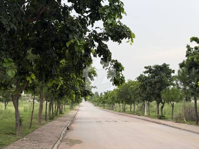 Gulberg Green Block A Developed Possession 60series Farmhouse Plot Available For Sale Gulberg Green Block A Developed Possession 60series Farmhouse Plot Available For Sale