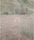 1 1