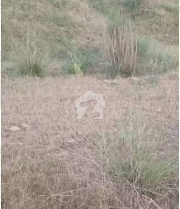 i-15/2 25x50 plot available for sale in street 68 i-15/2 25x50 plot available for sale in street 68