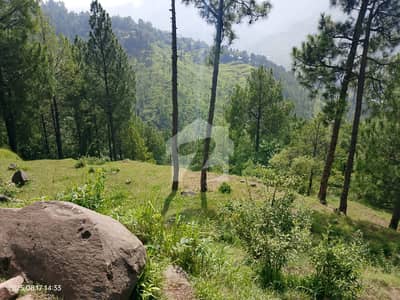 2-Kanal Premium Land for Sale in Murree Hills