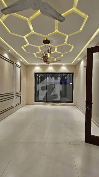 Brand New Designer House