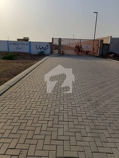 Gandhara Society Plot Available