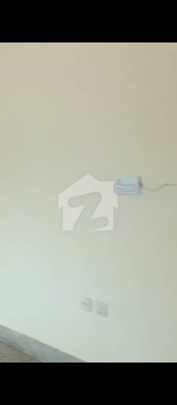 house for rent house for rent
