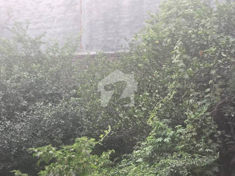 1 Kanal Building For Grabs In Harbanspura 1 Kanal Building For Grabs In Harbanspura