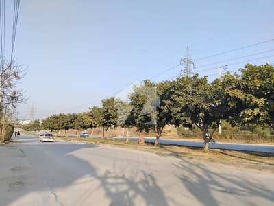 Premium 7 Marla Plot Available For Sale