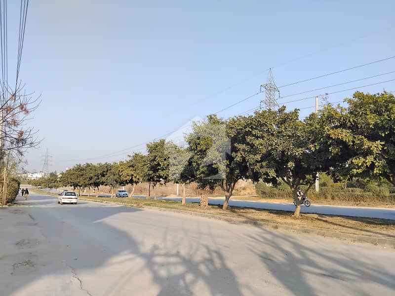 Premium 7 Marla Plot Available For Sale Premium 7 Marla Plot Available For Sale