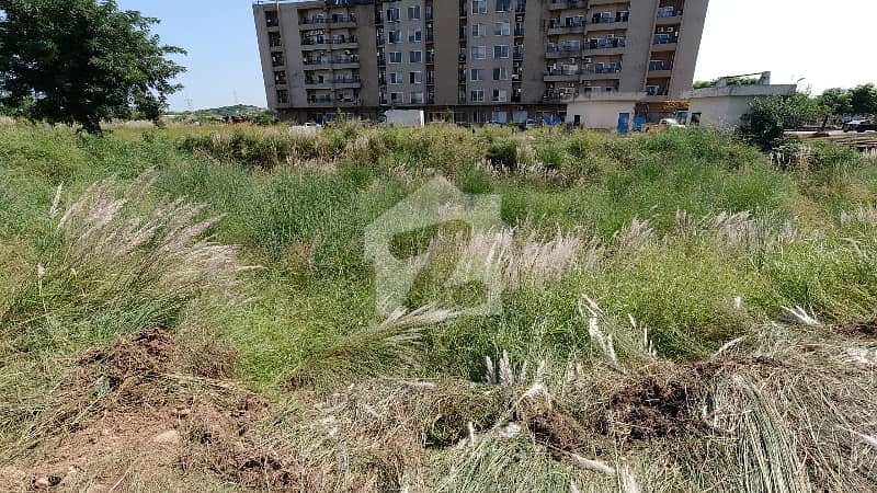 8 8