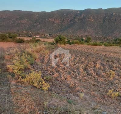 6.5 Kanal Agriculture Land Rawalpindi Fathe Jang Road