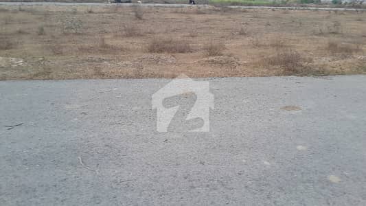 K One kanal plot for sale All Paid 120F Rod