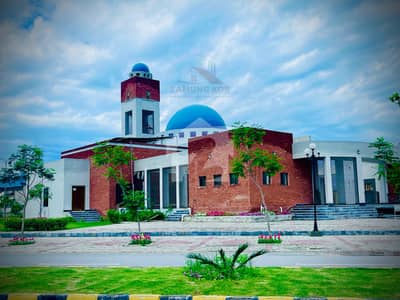 Low Price Plot | Well developed area | investor Price