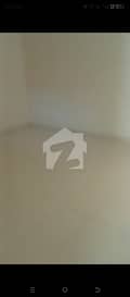 7 7