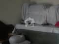 8 8