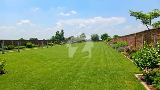 64-Kanal Farmhouse Land with Boundary Wall | Ideal for Farmhouse, Marquee & Event Venue