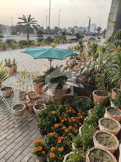 10 Marla Gry Home Home Beautiful Location