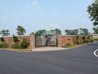 Premium 8-Kanal Corner Farmhouse Plot with Boundary Wall Prime Location