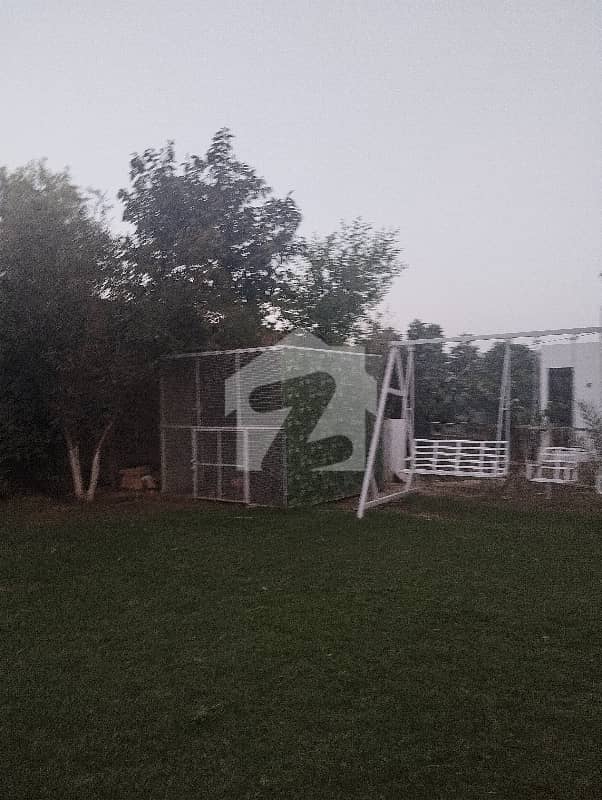 Beautiful, Lush Green From House, Tehsil Bahawalpur For Sale. Beautiful, Lush Green From House, Tehsil Bahawalpur For Sale.