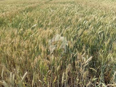 AGRICULTURAL LAND FOR SALE