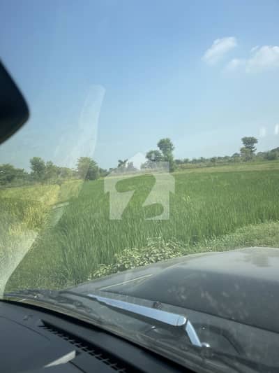 4 Kanal Land for Sale Carpet Road Front Near Canal