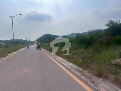 Corner, Sector "D" || South Face || Double Road
