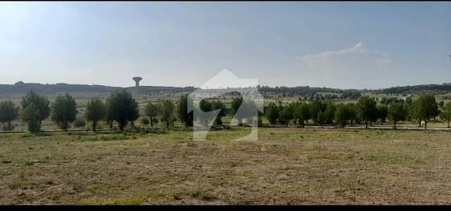 DHA Phase 6 Sector C3 Extension Plot