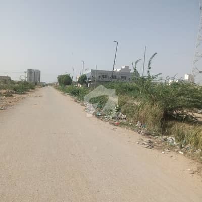 Plot For Sale Transfer File The Project Of Pak Land Builder