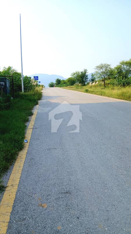 Prime Location 40*80 Plot For Sale Prime Location 40*80 Plot For Sale