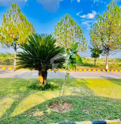 10 Marla Plot For Sale In A Block Demand 45 Lac