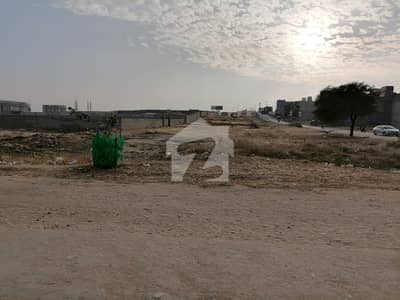 Investors Should Sale This Residential Plot Located Ideally In Gadap Town