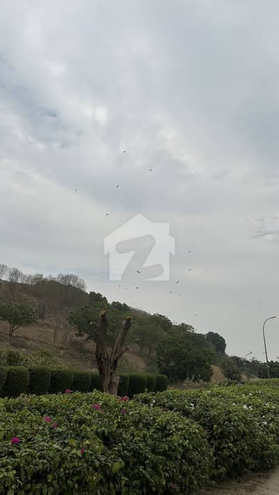 نیا ناظم آباد ۔ بلاک ڈی نیا ناظم آباد,کراچی میں 5 کمروں کا 6 مرلہ مکان 1.65 لاکھ میں کرایہ پر دستیاب ہے۔ نیا ناظم آباد ۔ بلاک ڈی نیا ناظم آباد,کراچی میں 5 کمروں کا 6 مرلہ مکان 1.65 لاکھ میں کرایہ پر دستیاب ہے۔
