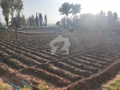 جاپان روڈ اسلام آباد میں 4 کنال زرعی زمین 3.6 کروڑ میں برائے فروخت۔
